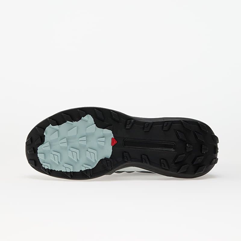 Salomon GENESIS ADVANCED Heren – Sedsa Metal Ice FL — 2